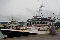 Les pêcheurs adoptent des mesures alternatives pour retrouver une rentabilité