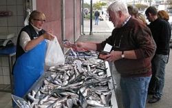 Le hareng côtier est arrivé sur les étals du quai Gambetta à Boulogne 